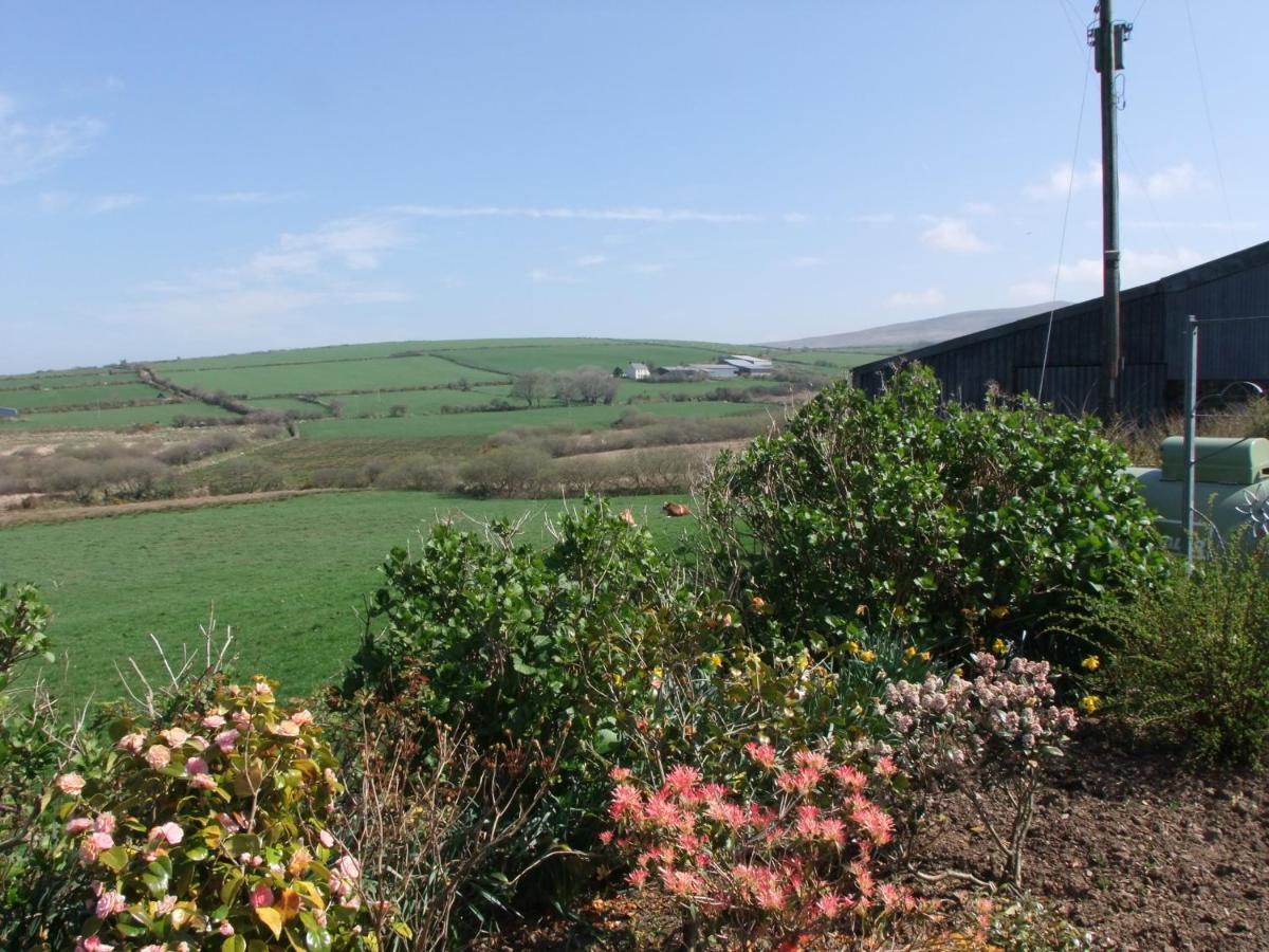 Bed and Breakfast Erw-Lon Farm à Pontfaen Extérieur photo